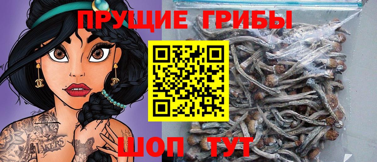 Галлюциногенные грибы Cubensis Ростов Великий