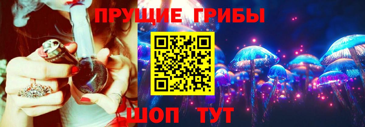Псилоцибиновые грибы Psilocybe  купить   Вход с VPN  Ростов Великий  Галлюциногенные грибы Psilocybe 